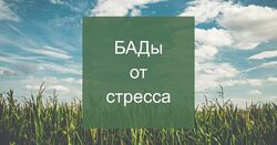 Елена Суханова Психокоррекция через нутрицевтики 2024