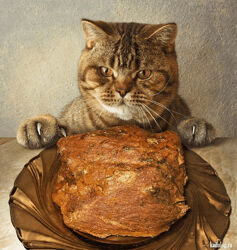 Светлана Кусова Помощь ЖКТ. Специи и пряности 2024