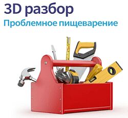 Сергей Вялов Про пищеварение 2024