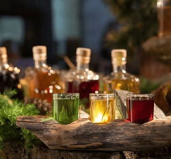 Светлана Кусова Ароматы. Специи и пряности 2024