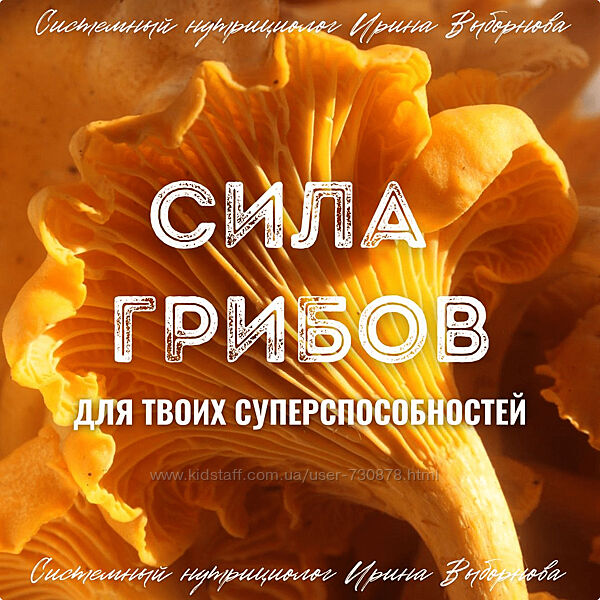 Ирина Выборнова Сила грибов для твоих суперспособностей 2024