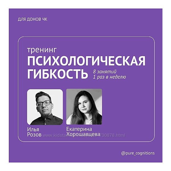 Илья Розов Тренинг психологической гибкости по протоколу Кевина Полка 2024