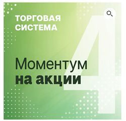 Александр Силаев Торговая Система Моментум на акции 2024