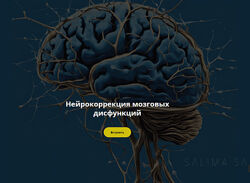 Салима Саиди Нейрокоррекция мозговых дисфункций. Ноябрь 2024
