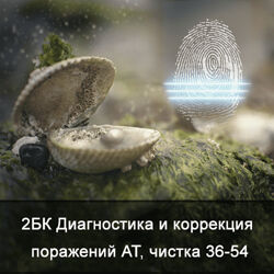 Ксения Меньшикова 2БК Диагностика и коррекция поражений АТ