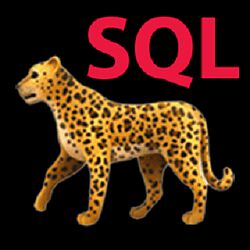 Глеб Михайлов SQL для анализа данных Stepik 2024