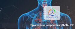 Мария Недре Прикладная неврология дыхание 2024