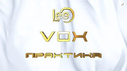 Lee Vox Практика 2024