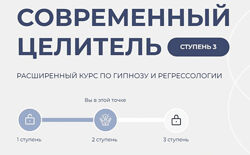 Александр Салогуб Современный целитель ступень 3 2024