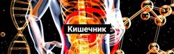 Никита Истомин Кишечник 2024