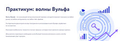 Арина Веспер Практикум волны Вульфа 2024