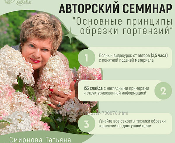 Татьяна Смирнова Основные принципы обрезки гортензий 2024