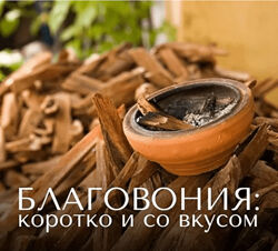 Анна Зворыкина Благовония коротко и со вкусом 2024