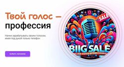 Тим Шток Твой голос-профессия. Тариф Продвинутый 2024