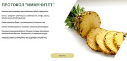 Светлана Литвиненко Протокол Иммунитет 2024