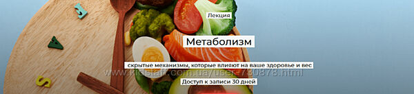 Елена Иванова Метаболизм скрытые механизмы, которые влияют на ваше здоровье