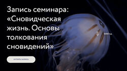 Стелла Гусарова Сновидческая жизнь. Основы толкования сновидений 2024