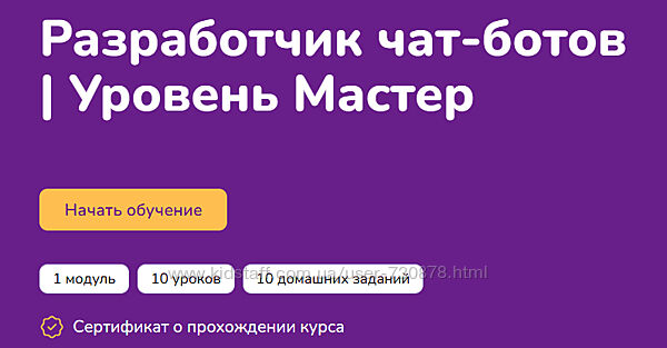 Step Up Разработчик чат-ботов. Уровень Мастер 2024