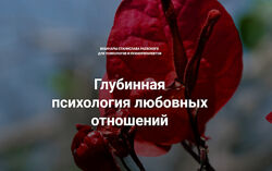 Станислав Раевский Глубинная психология любовных отношений 