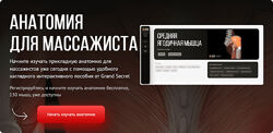 Максим Волков Анатомия для массажиста. Тариф Для профи 2024