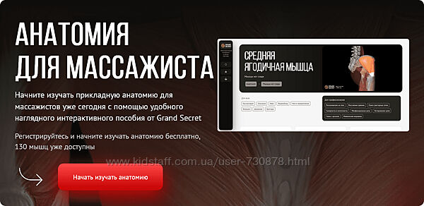 Максим Волков Анатомия для массажиста. Тариф Для профи 2024