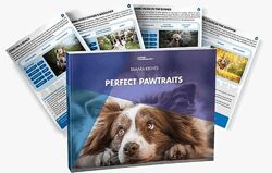 Тамара Кедвес Идеальные Pawtraits 2024
