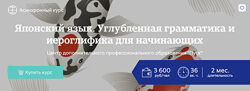 Анастасия Степанова Японский язык. Углубленная грамматика и иероглифика 