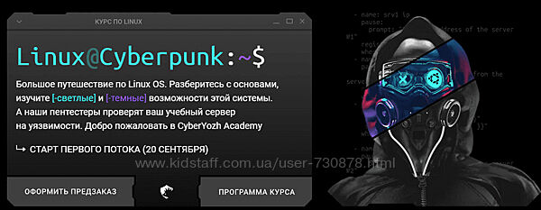 Евгений Ивченков, Алексей Гришин Linux Cyberpunk. Тариф Black 