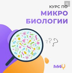 Medforyou школа медицины Курс по микробиологии 2024