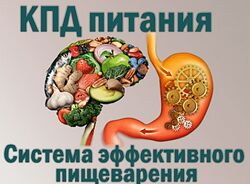 Ольга Бутакова КПД питания. Система эффективного пищеварения 2022