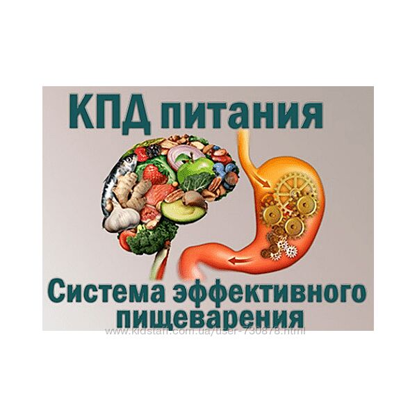Ольга Бутакова КПД питания. Система эффективного пищеварения 2022