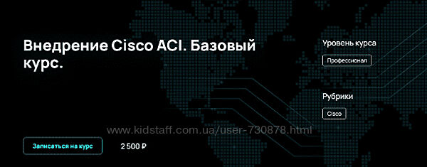 Алексей Гусев Внедрение Cisco ACI. Базовый курс NFE 