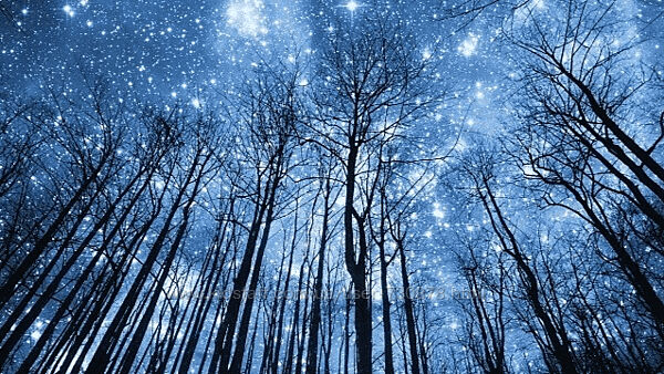 Анна Староминская Астрология налегке декабрь 24 - январь 25 2024