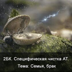 Ксения Меньшикова Специфическая чистка астрального тела. Тема семья, брак