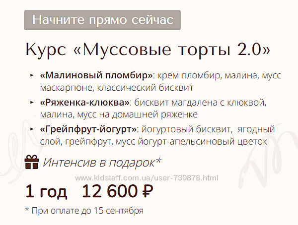 Вера Никандрова Муссовые торты 2.0 интенсив 2024
