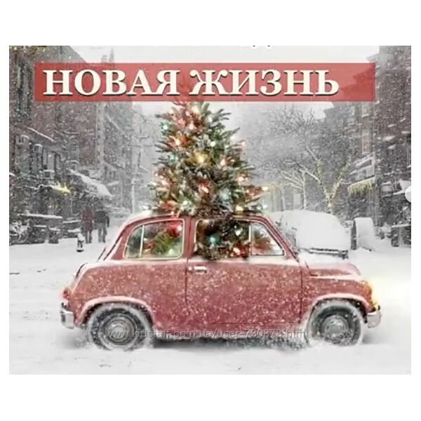 Анастасия Чушевская Новая жизнь 2023