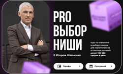 Игорь Шанченко Pro Выбор ниши на маркетплейсах 2024