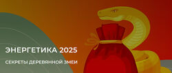 Дмитрий Лаптев Энергетика 2025 секреты деревянной змеи. Пакет Платинум 2025