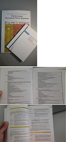 Райк Хаммер Метафизические причины болезней