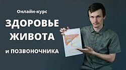 Антон Шахманов Здоровье живота и позвоночника. Тариф Самостоятельный 