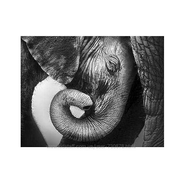 Интегральный подход психологической работы с травмой развития Раздел 1 - 9