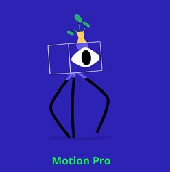 Motion Design School Motion Pro