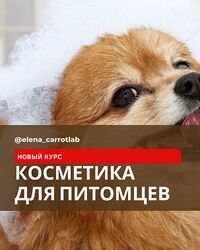 Елена Золотухина Косметика для питомцев 2024