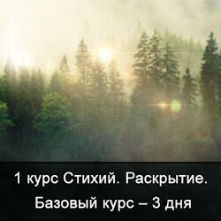 Ксения Меньшикова Факультет Стихии. 1 курс. 1 курс Стихий. Сила Стихий