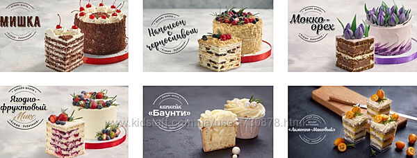 Ксюша Лобачева Начинающий кондитер 2025