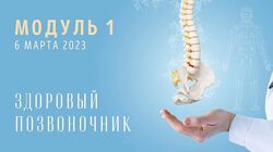 Юлия Грошева Yulia. Stretch Спина Модуль 1. Здоровый позвоночник 