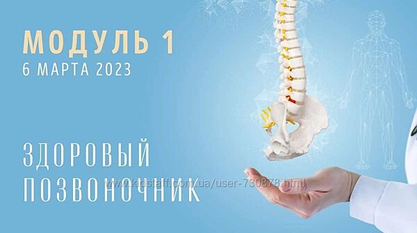 Юлия Грошева Yulia. Stretch Спина Модуль 1. Здоровый позвоночник