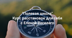 Елена Веселаго Полевая школа. Курс расстановок для себя 2025