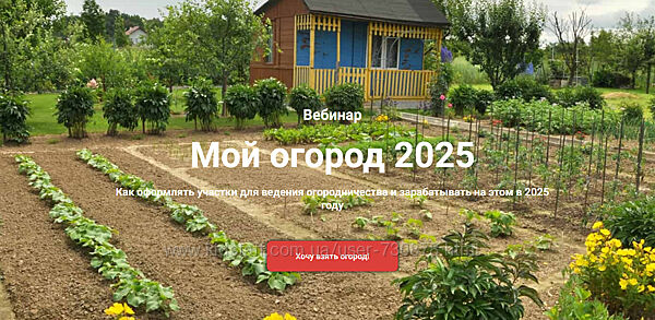 Ярослава Степанчук Мой огород 2025