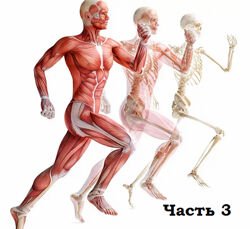 Александр Волоткевич Часть 3. Релаксация. Работа с вниманием и ощущениями